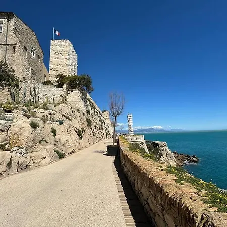 公寓 Place Malespine Proche Port Vauban 昂蒂布